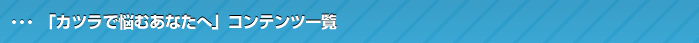 navi1.png