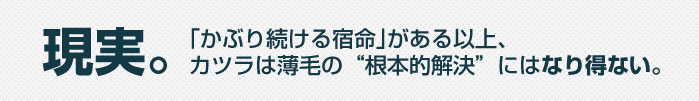 genjitu.png