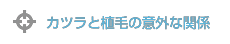 side_r1_c1.png