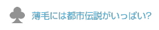 toshi.png