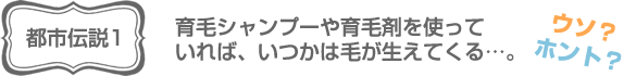 toshi1.png