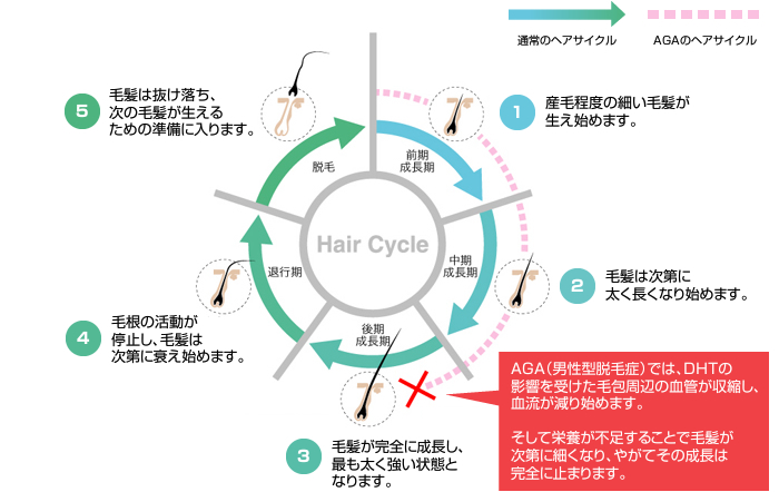 usuge03_vis4.jpg