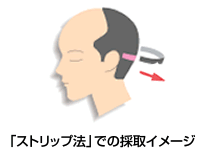 syokumou03_vis2.gif