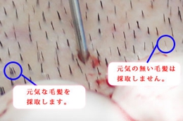 ITC様2.jpg